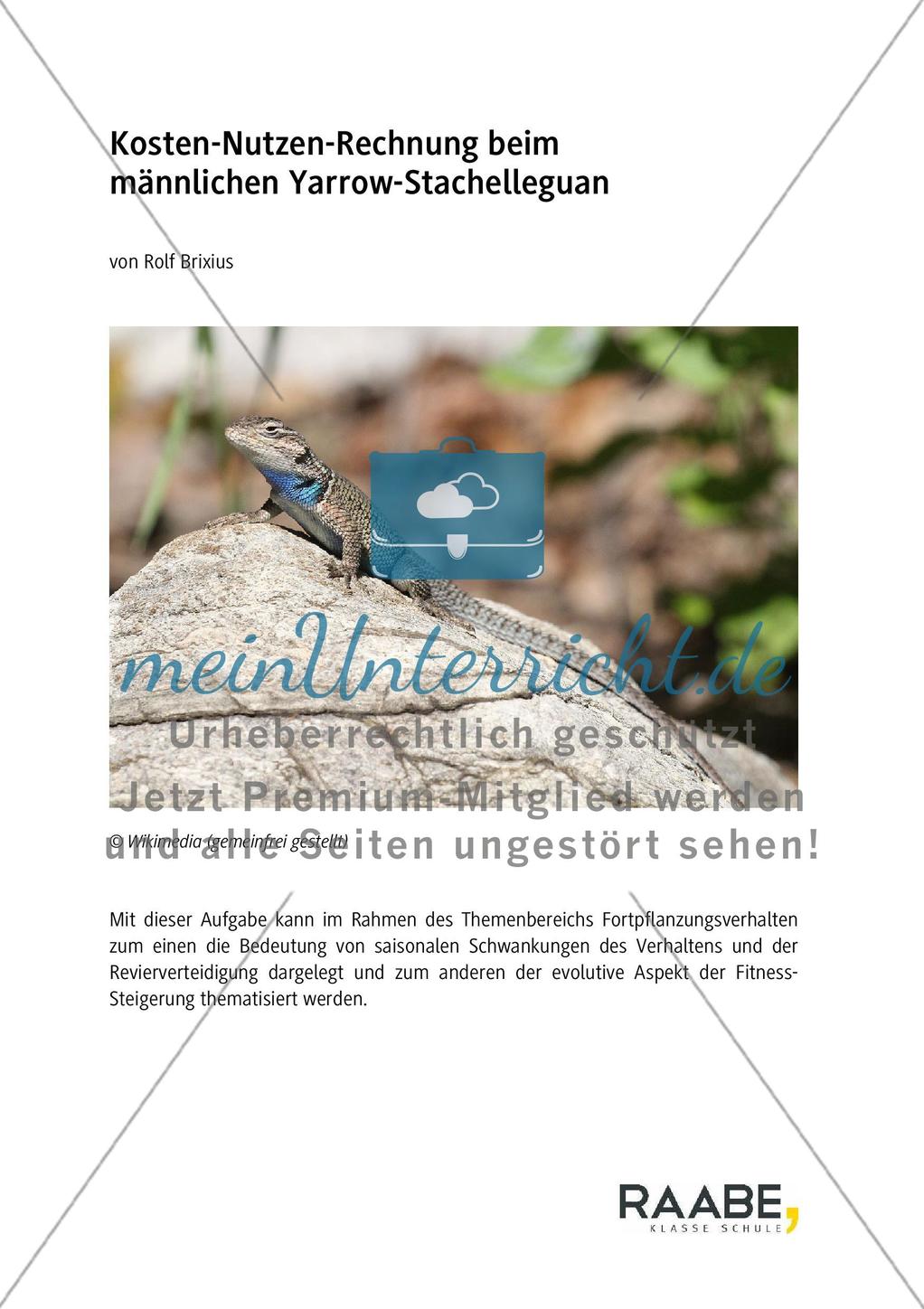 Kosten-Nutzen-Rechnung beim Yarrow-stachelleguan Preview 1