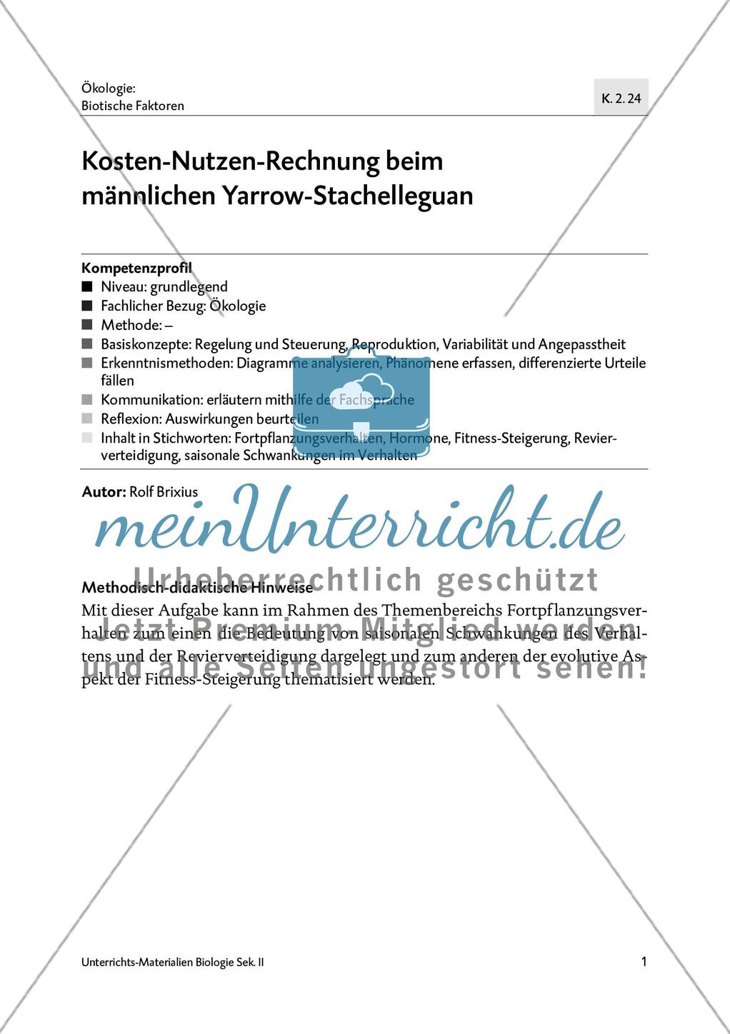 Kosten-Nutzen-Rechnung beim Yarrow-stachelleguan Preview 3