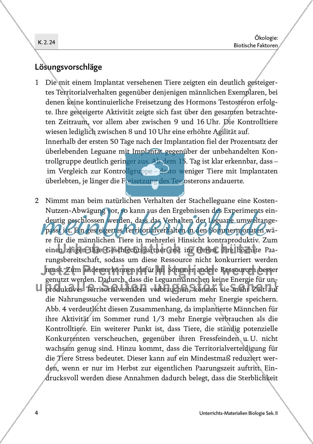 Kosten-Nutzen-Rechnung beim Yarrow-stachelleguan Preview 6
