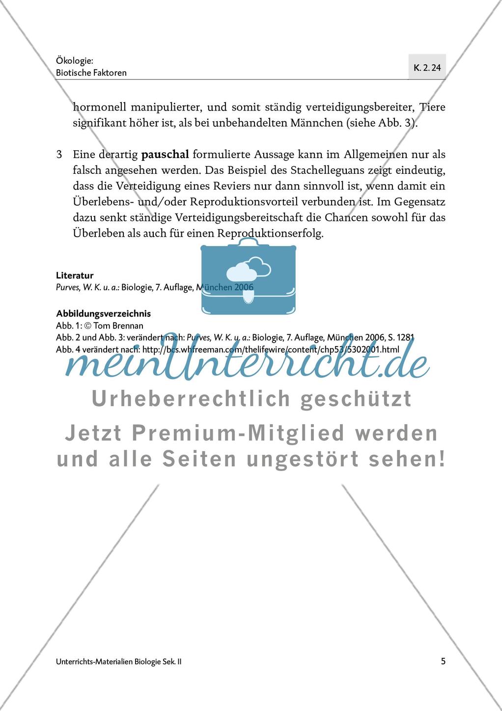 Kosten-Nutzen-Rechnung beim Yarrow-stachelleguan Preview 7