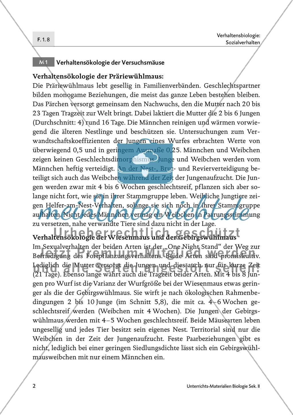 Neurochemie der Monogamie - M1-M3 Preview 1