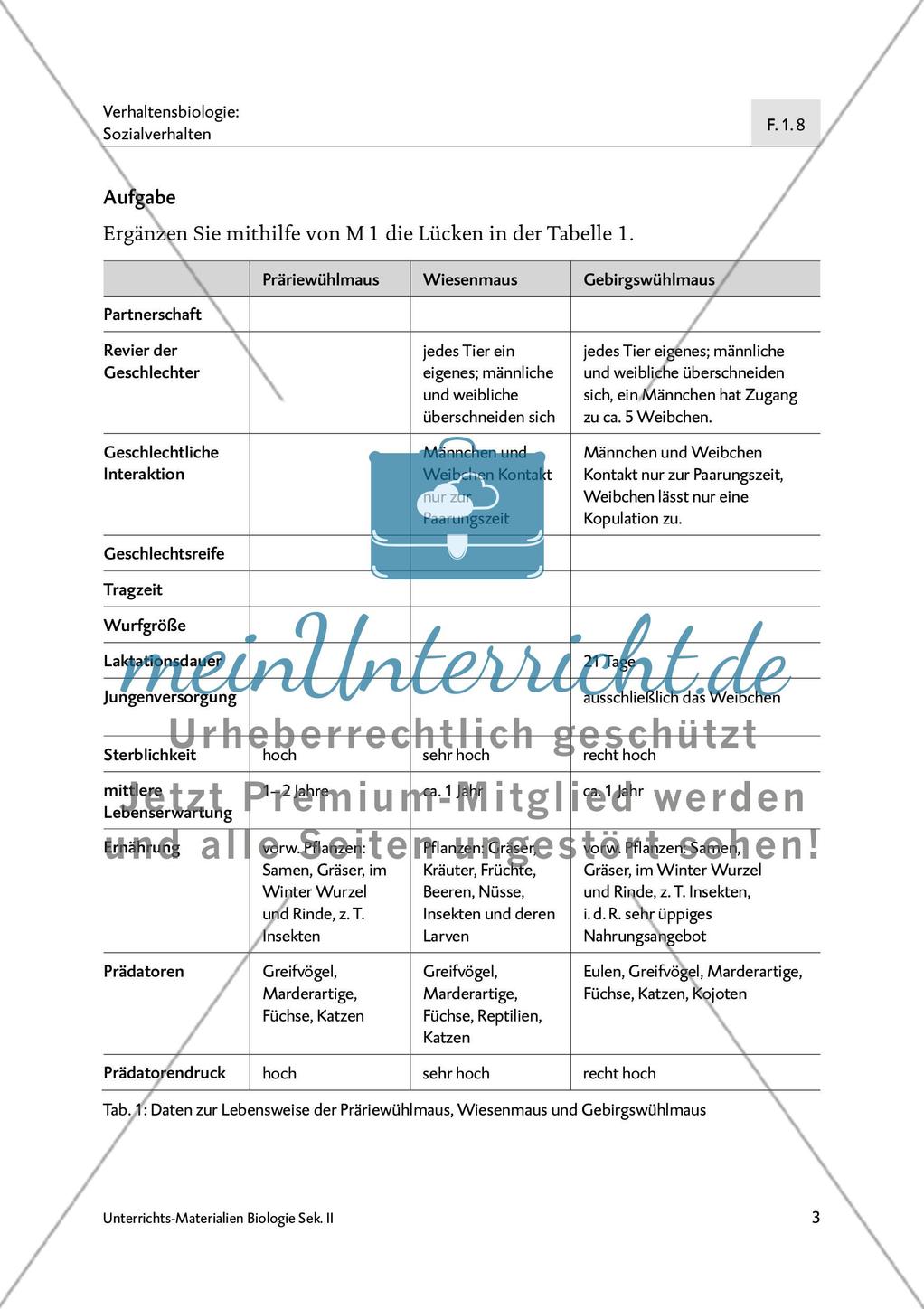 Neurochemie der Monogamie - M1-M3 Preview 2