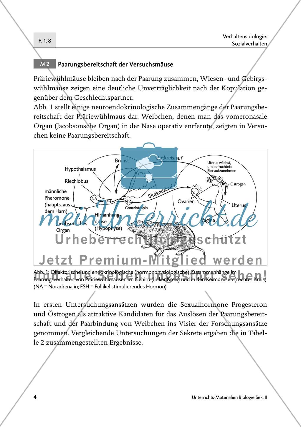 Neurochemie der Monogamie - M1-M3 Preview 3