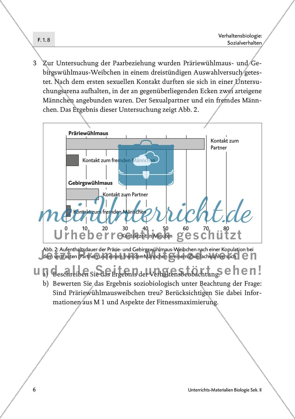 Neurochemie der Monogamie - M1-M3 Preview 5