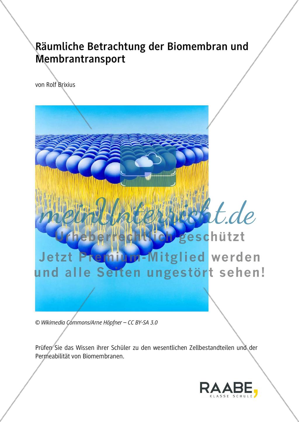 Räumliche Betrachtung der Biomembran und Membrantransport Preview 1