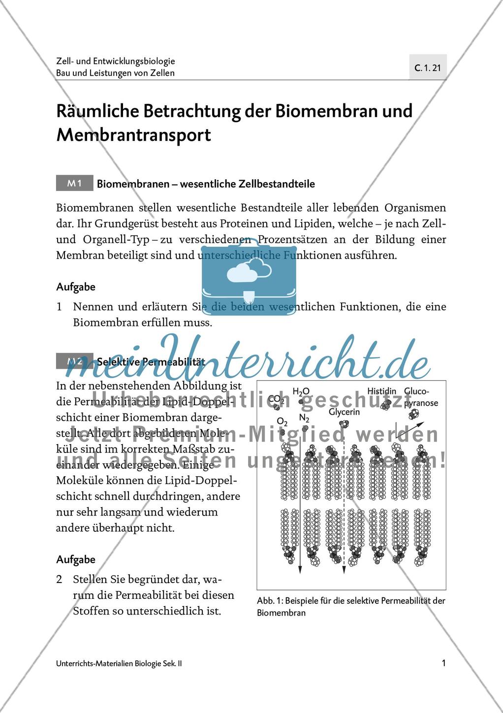 Räumliche Betrachtung der Biomembran und Membrantransport Preview 2