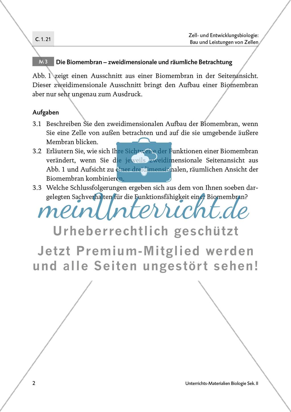 Räumliche Betrachtung der Biomembran und Membrantransport Preview 3