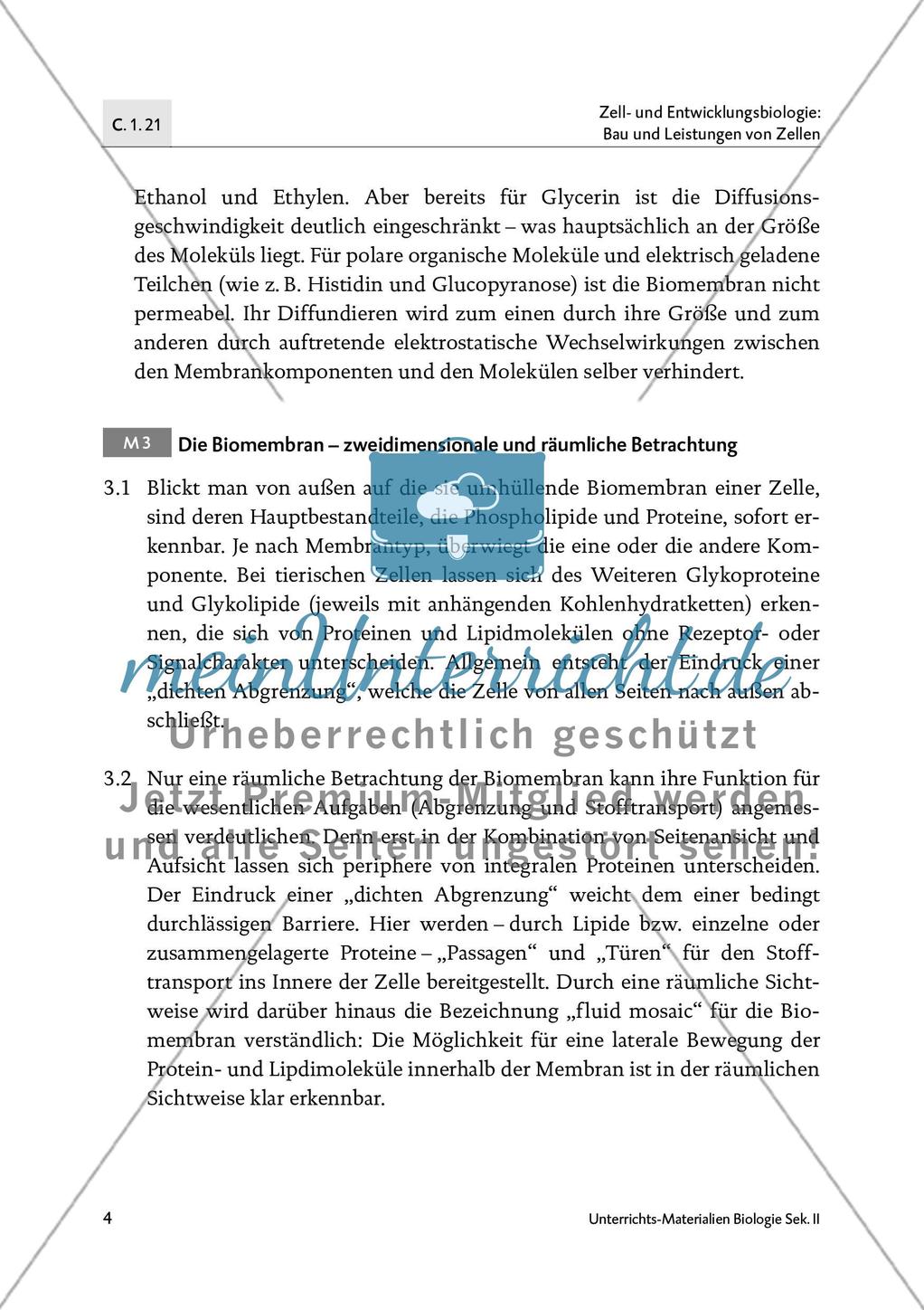 Räumliche Betrachtung der Biomembran und Membrantransport Preview 5
