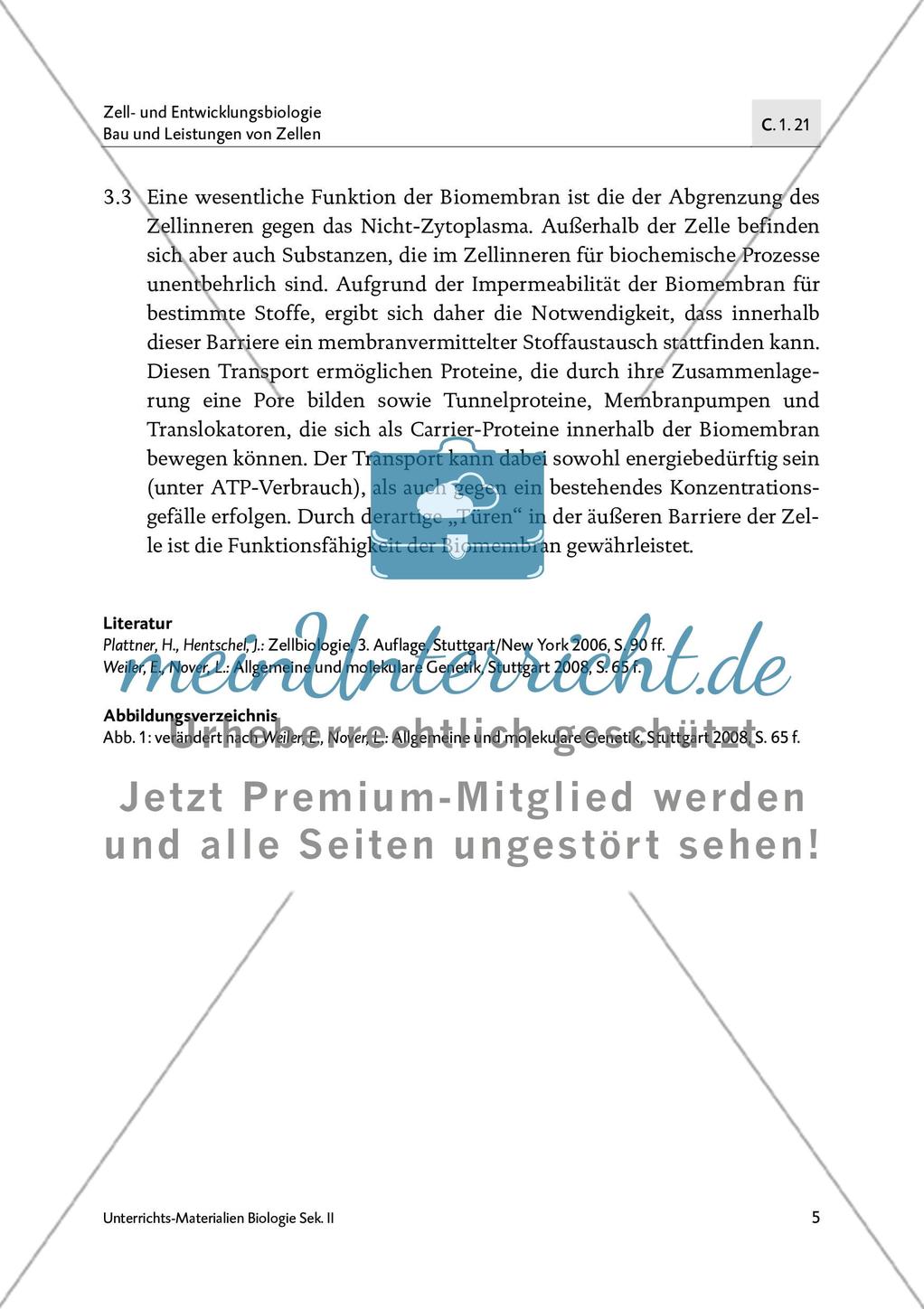 Räumliche Betrachtung der Biomembran und Membrantransport Preview 6