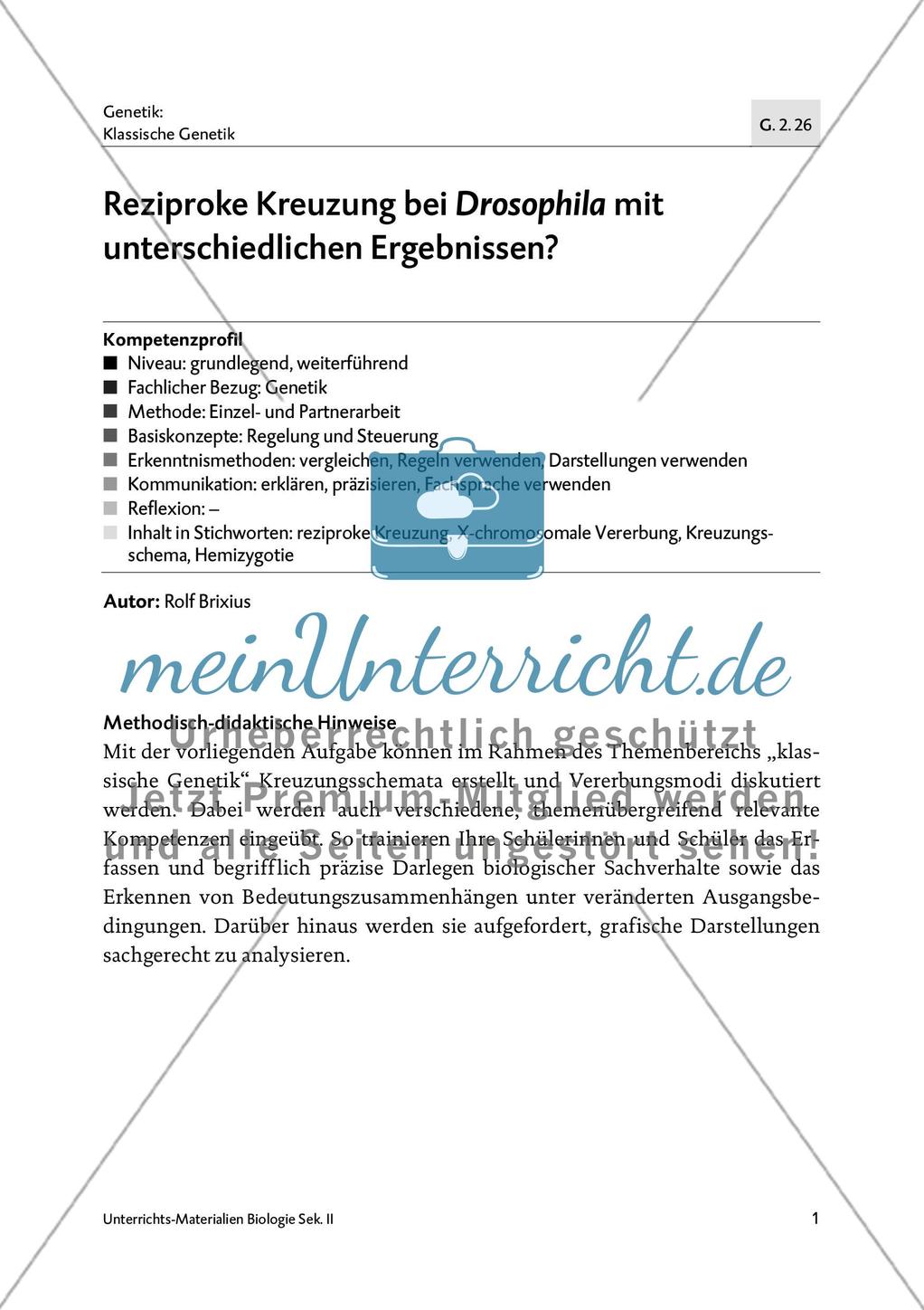 Reziproke Kreuzung bei Drosophila mit unterschiedlichen Ergebnissen? Preview 2