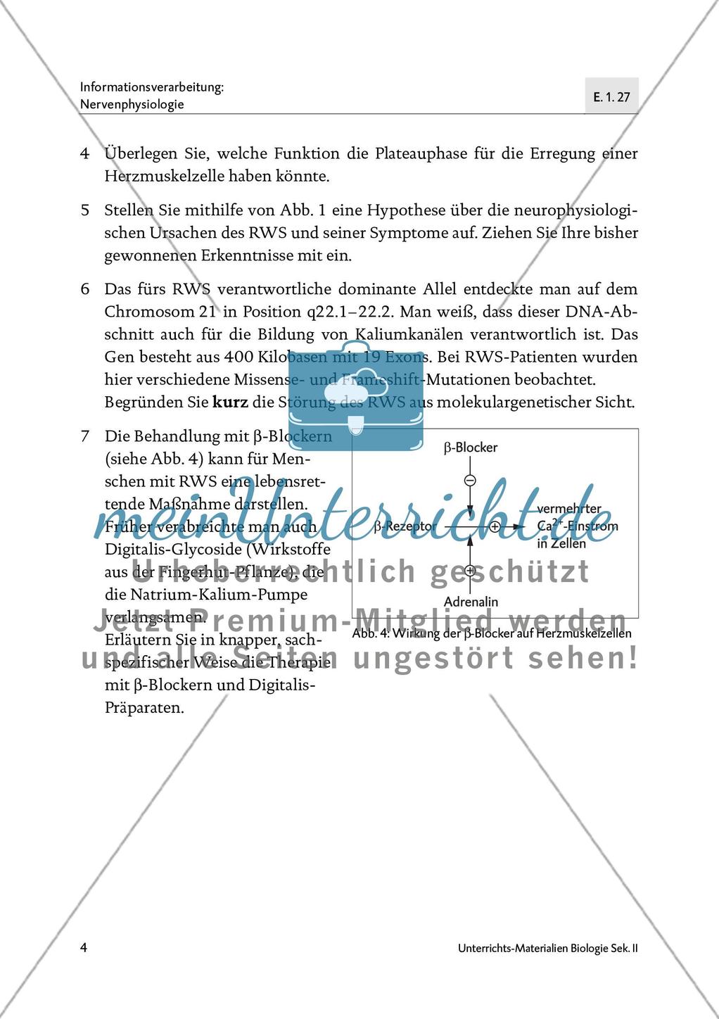 Romano-Ward-Syndrom (RWS) Preview 5