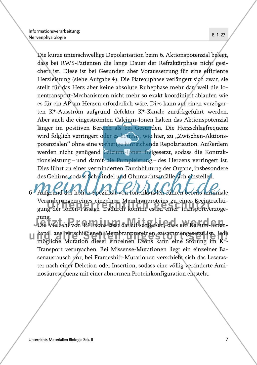 Romano-Ward-Syndrom (RWS) Preview 8