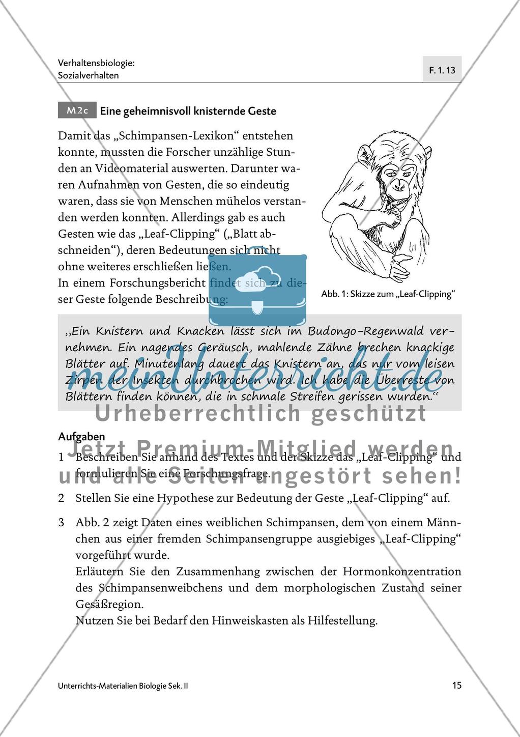 Schimpansisch lernen? Mit den Händen reden! - M2 Preview 5