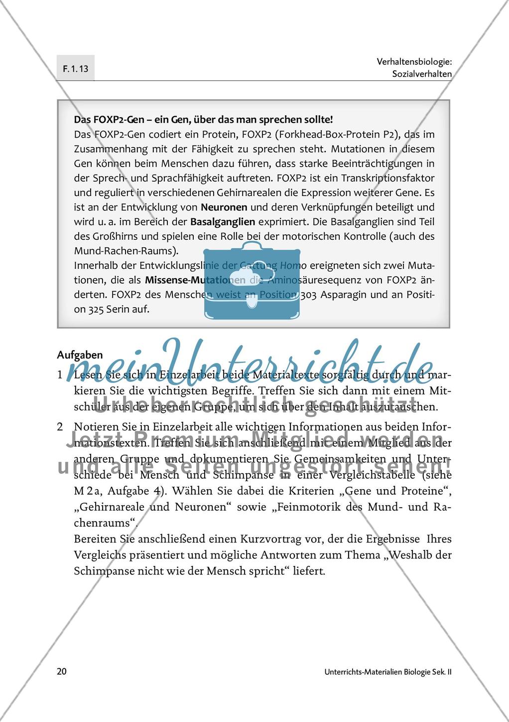 Schimpansisch lernen? Mit den Händen reden! - M3-M5 Preview 3