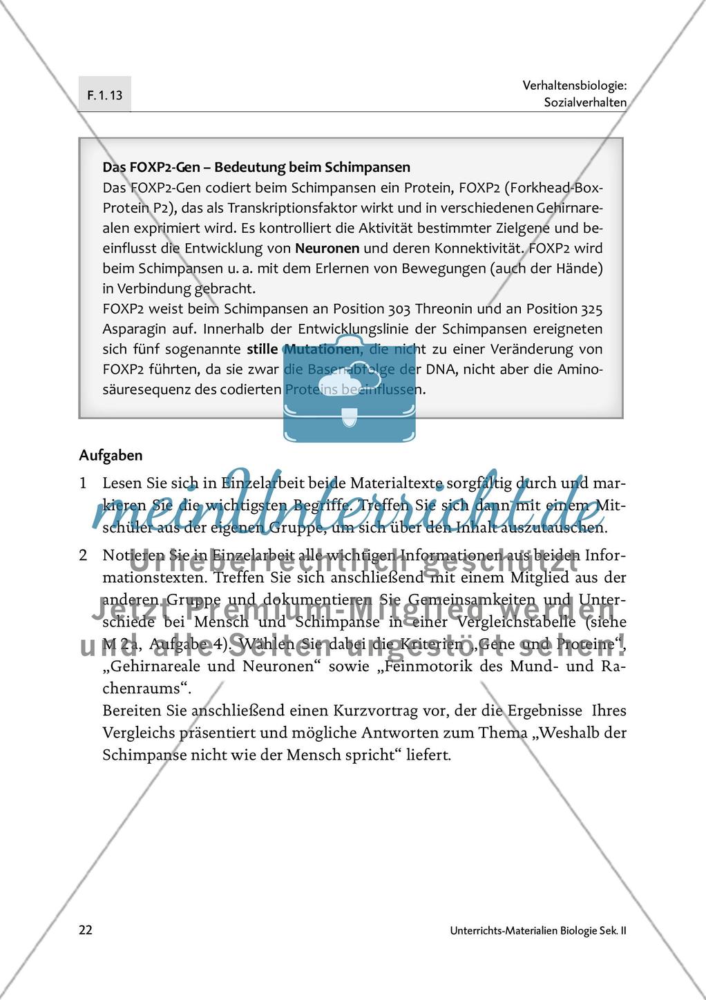 Schimpansisch lernen? Mit den Händen reden! - M3-M5 Preview 5