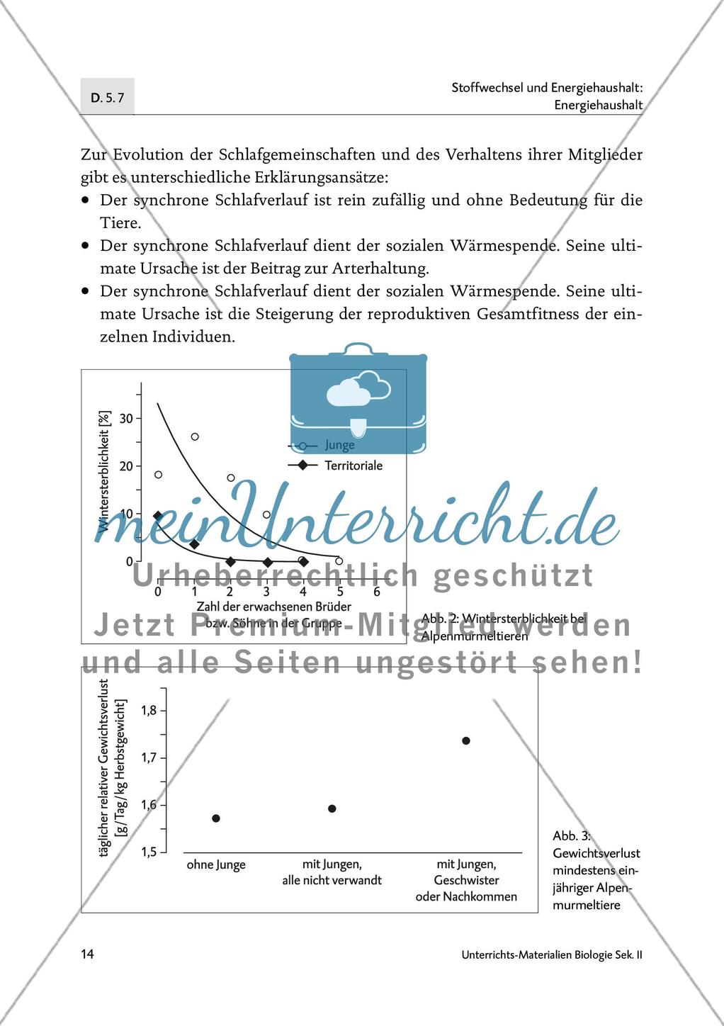 Schlafen wie ein Murmeltier - M4-M6 Preview 5