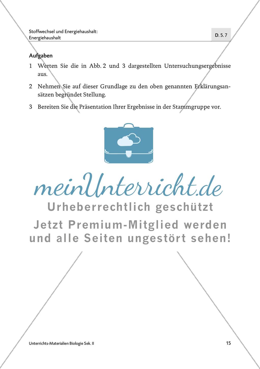 Schlafen wie ein Murmeltier - M4-M6 Preview 6
