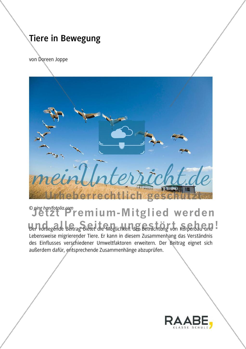 Tiere in Bewegung Preview 1