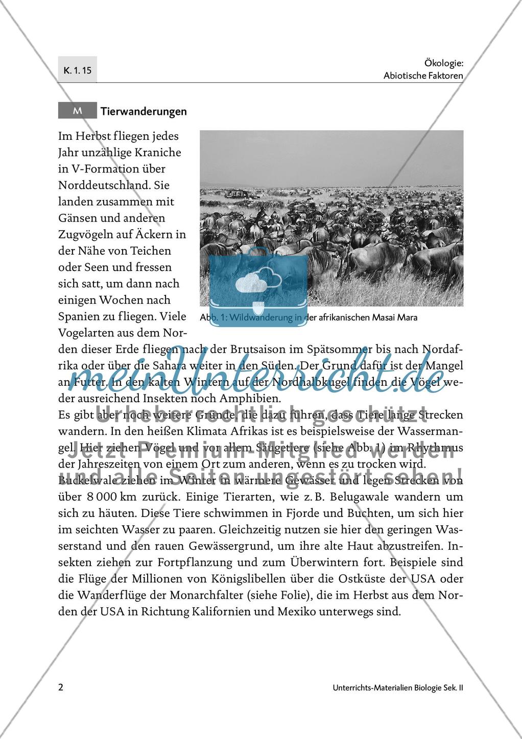 Tiere in Bewegung Preview 4