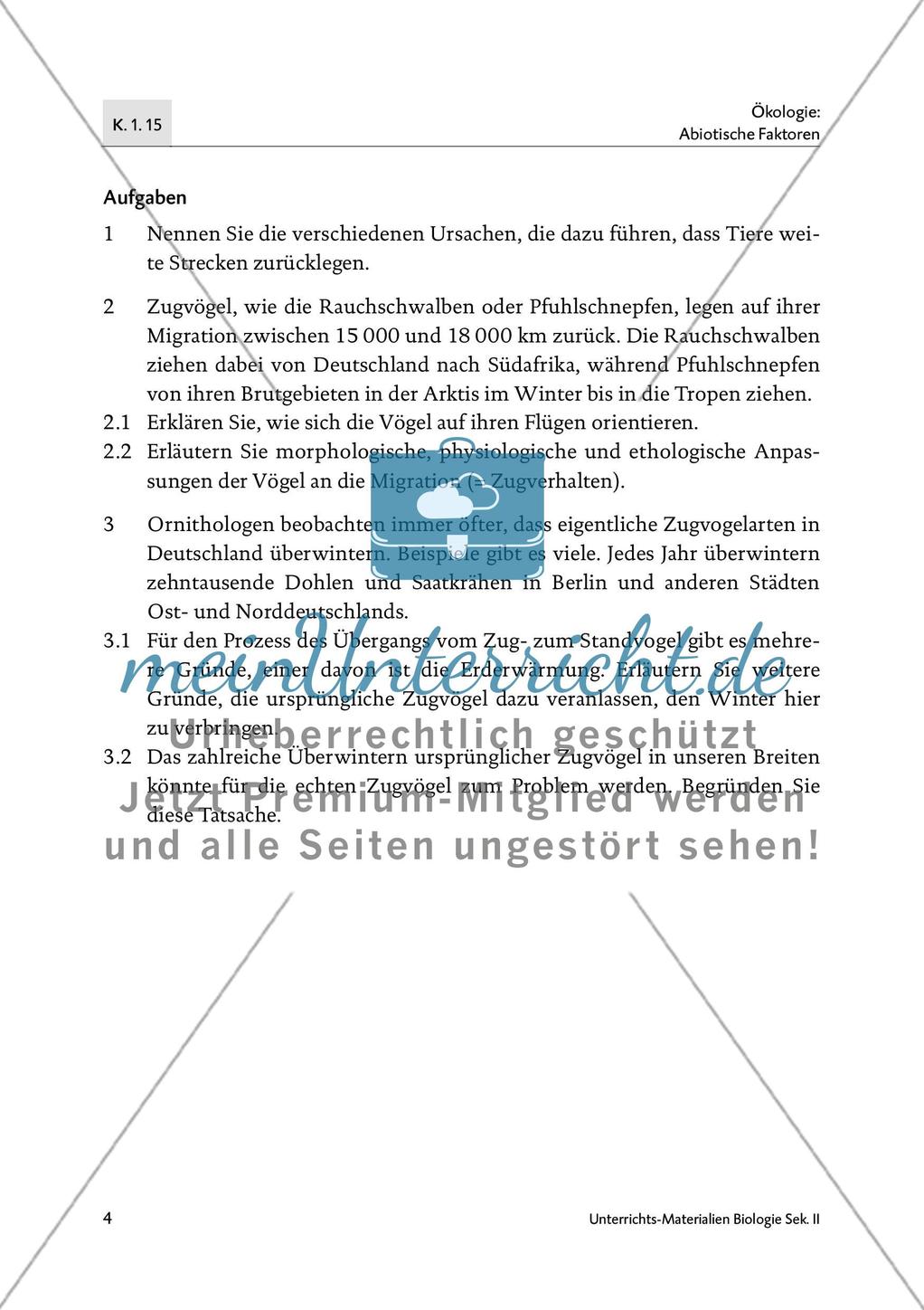 Tiere in Bewegung Preview 6