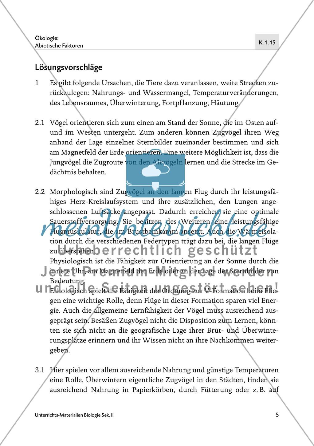 Tiere in Bewegung Preview 7