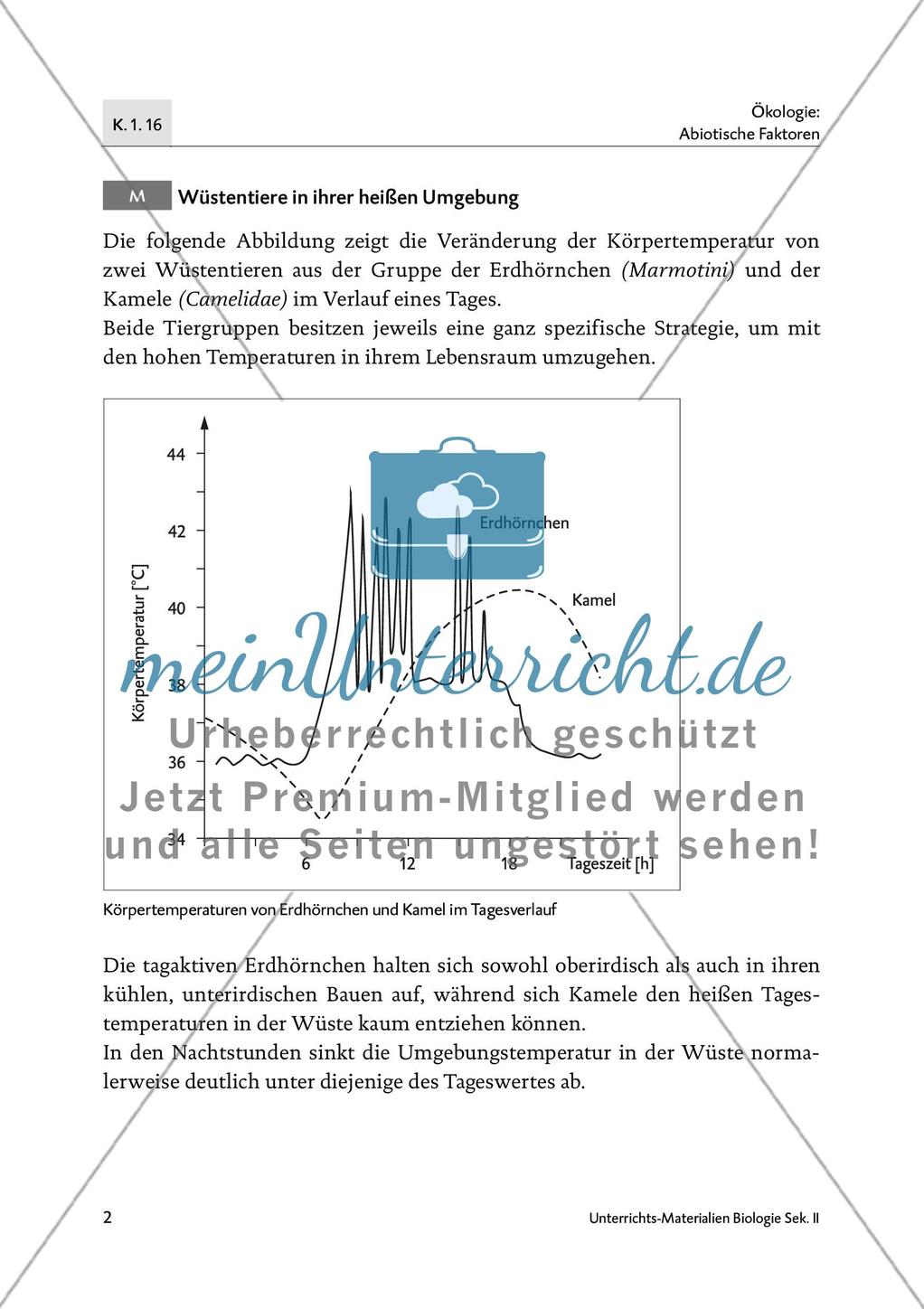 Wie Wüstentiere mit ihrer warmen Umgebung umgehen… Preview 3