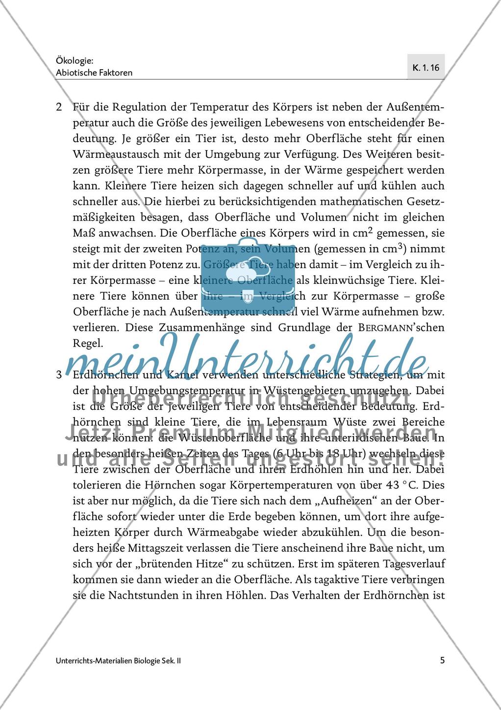 Wie Wüstentiere mit ihrer warmen Umgebung umgehen… Preview 6