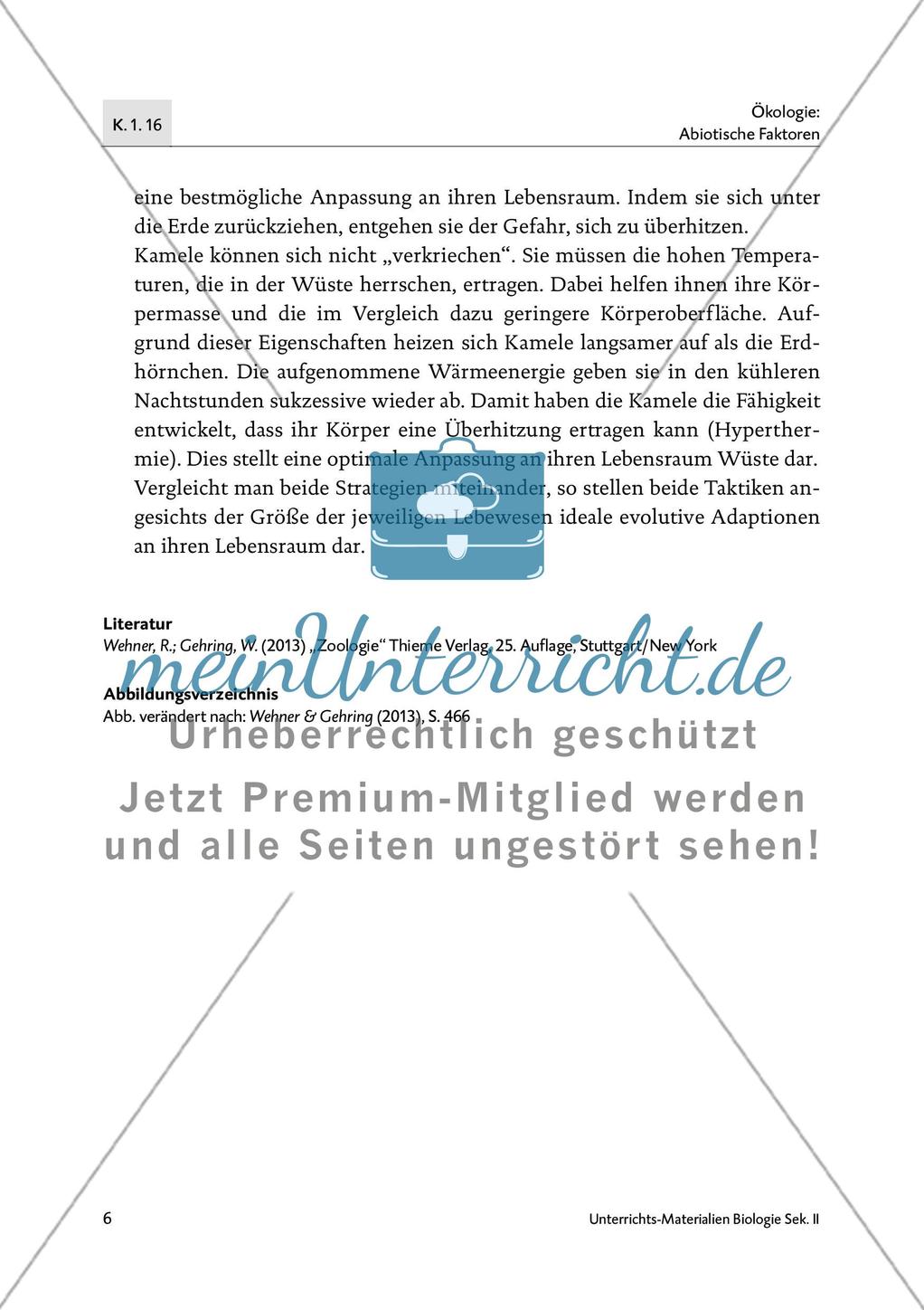 Wie Wüstentiere mit ihrer warmen Umgebung umgehen… Preview 7