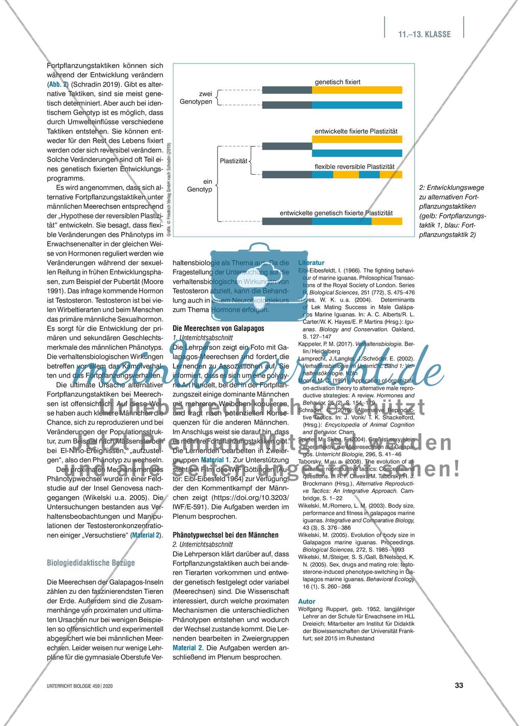 Testosteron macht‘s? Preview 2