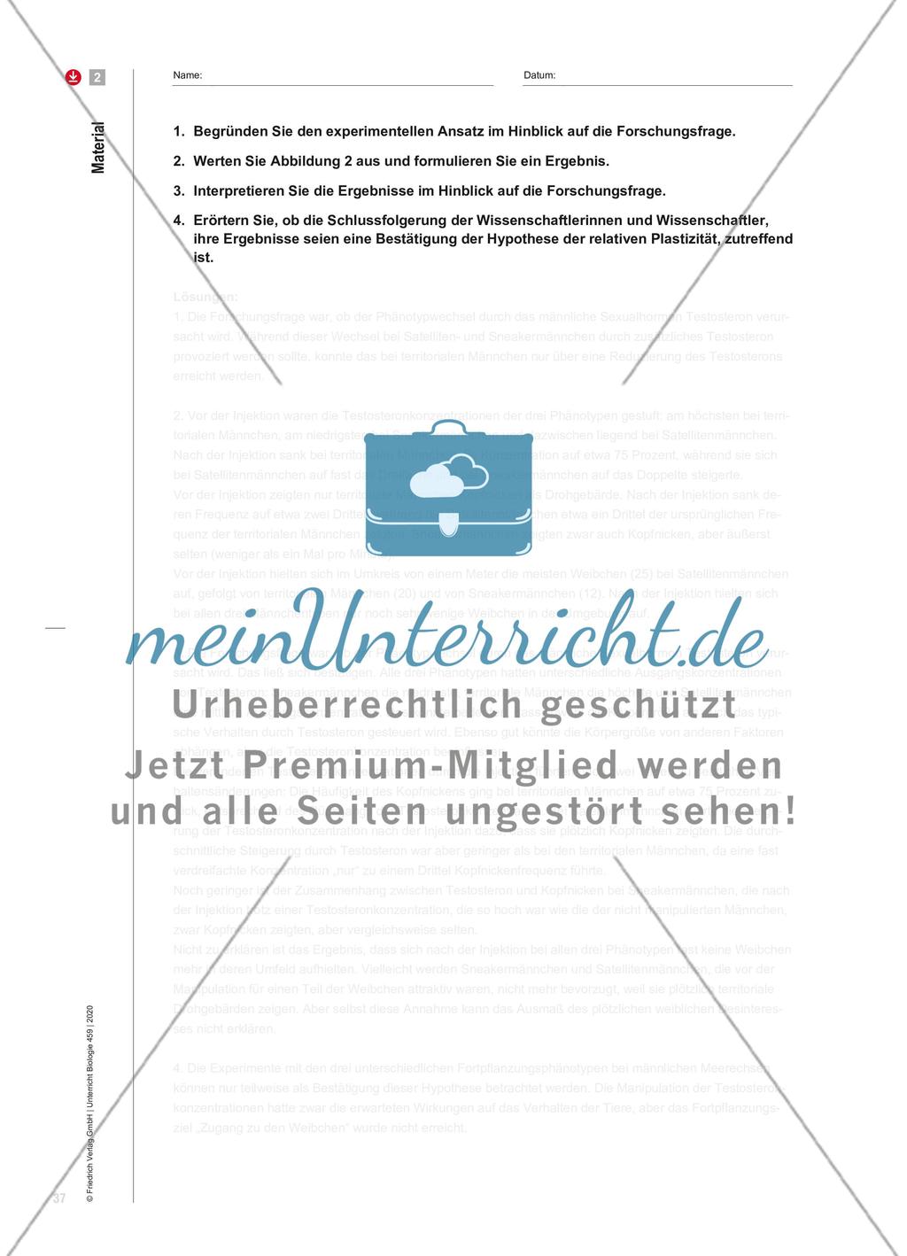 Testosteron macht‘s? Preview 6