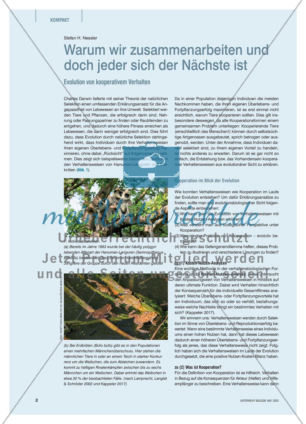 Warum wir zusammenarbeiten und doch jeder sich der Nächste ist Preview 1