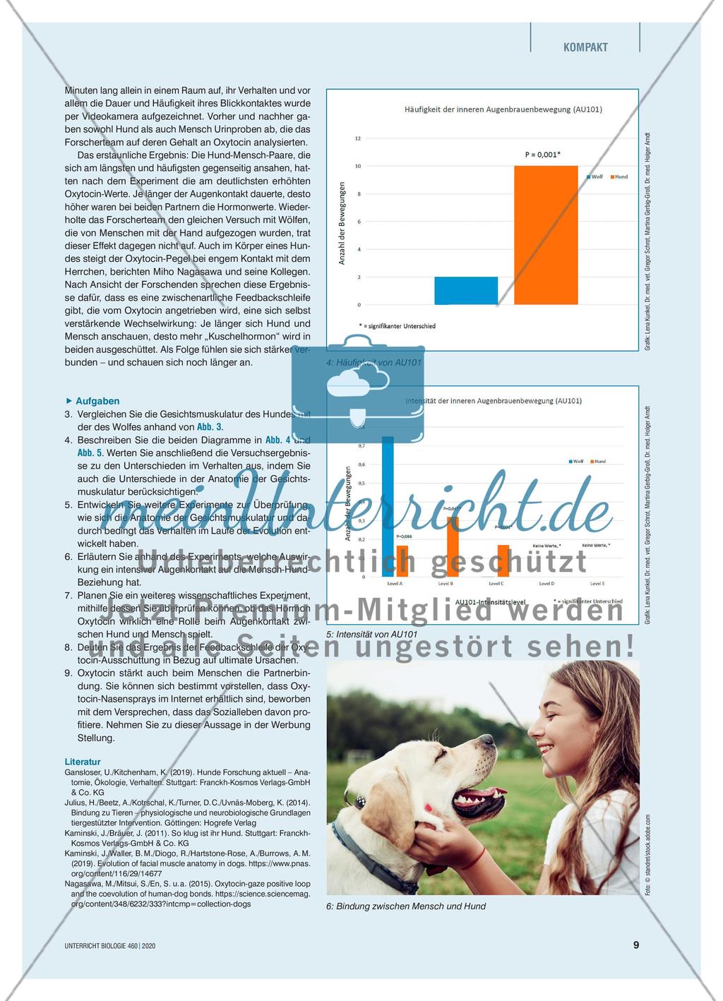 Wie konnte der Hund zum besten Freund des Menschen werden? Preview 4
