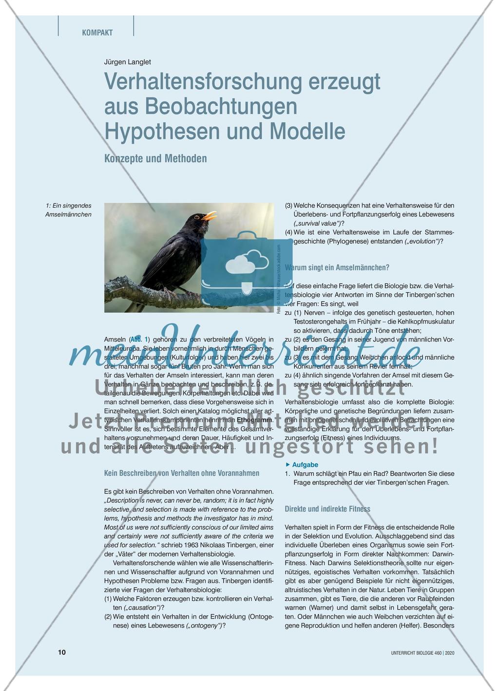Verhaltensforschung erzeugt aus Beobachtungen Hypothesen und Modelle - meinUnterricht