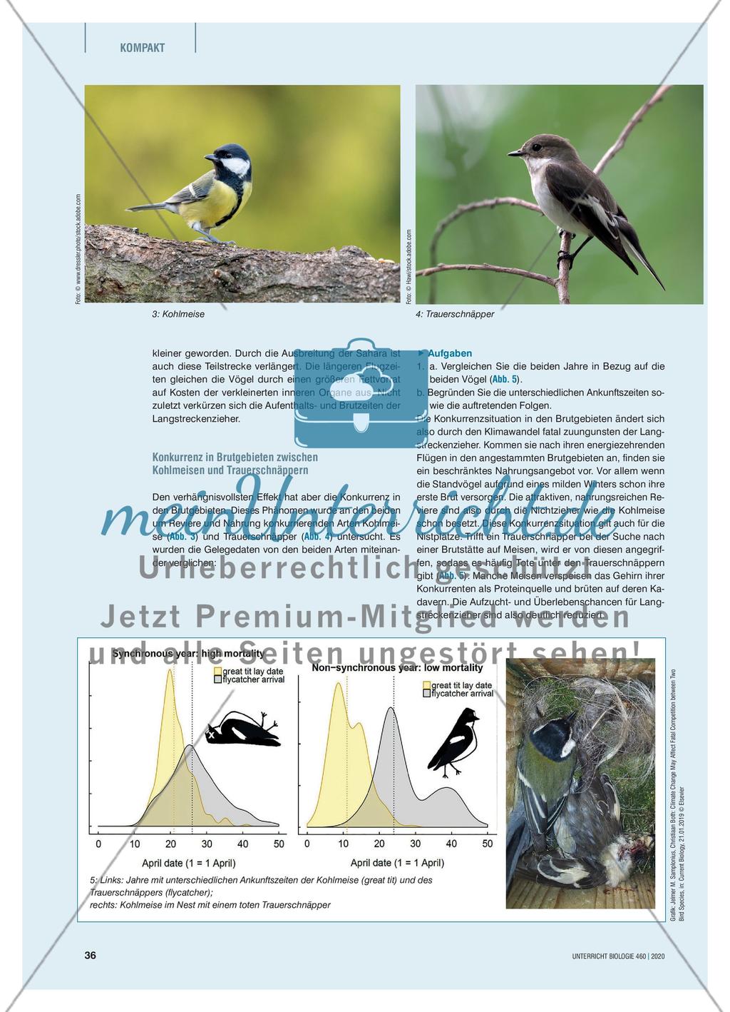Verhaltensänderungen sind Indikatoren des Klimawandels Preview 2