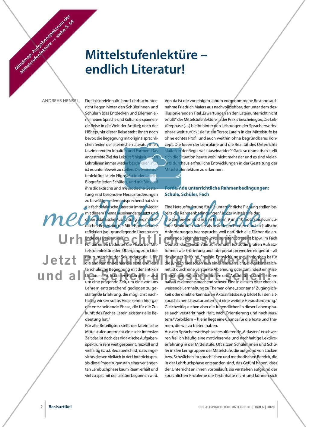 Mittelstufenlektüre – endlich Literatur! Preview 1