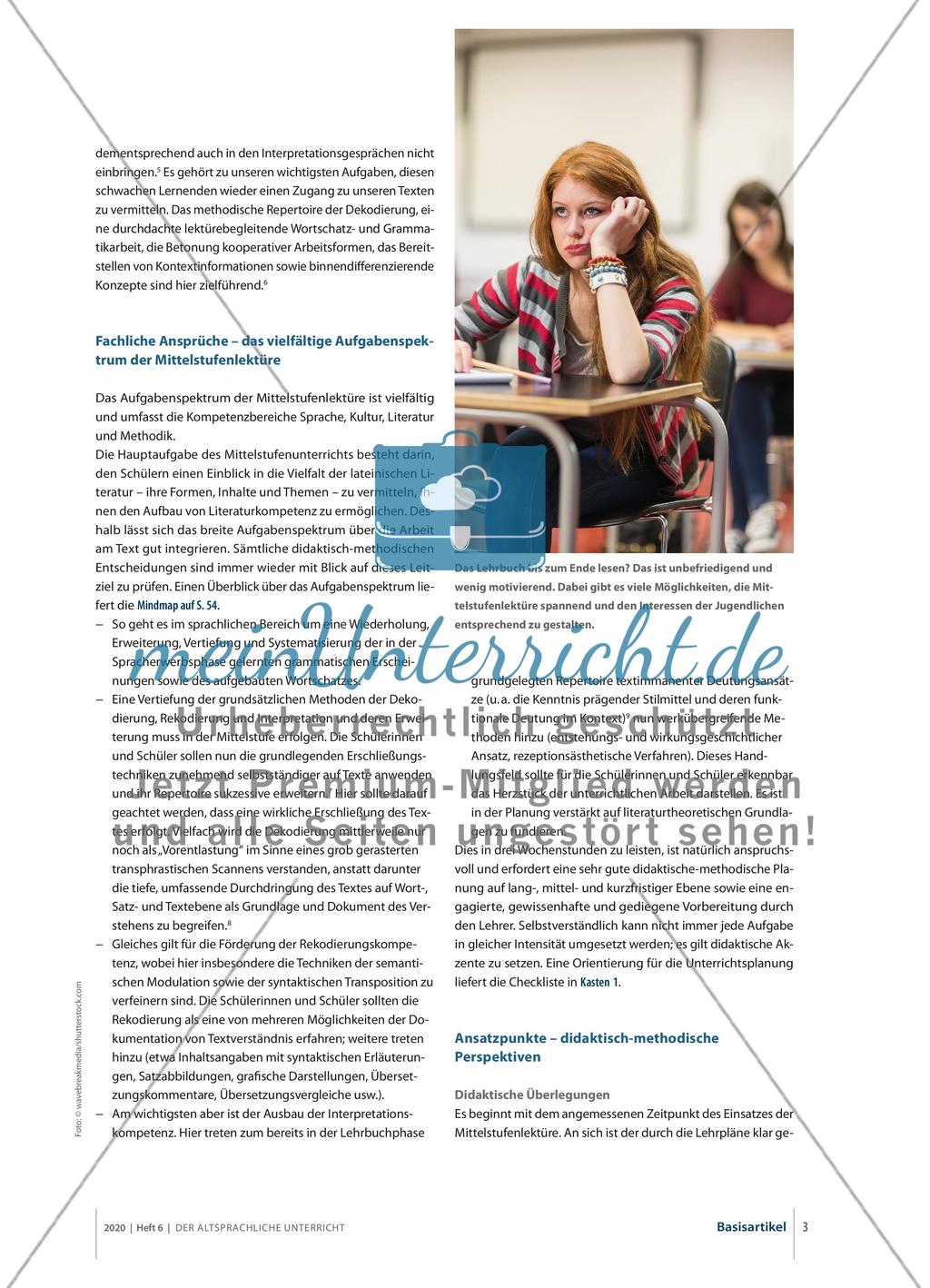Mittelstufenlektüre – endlich Literatur! Preview 2