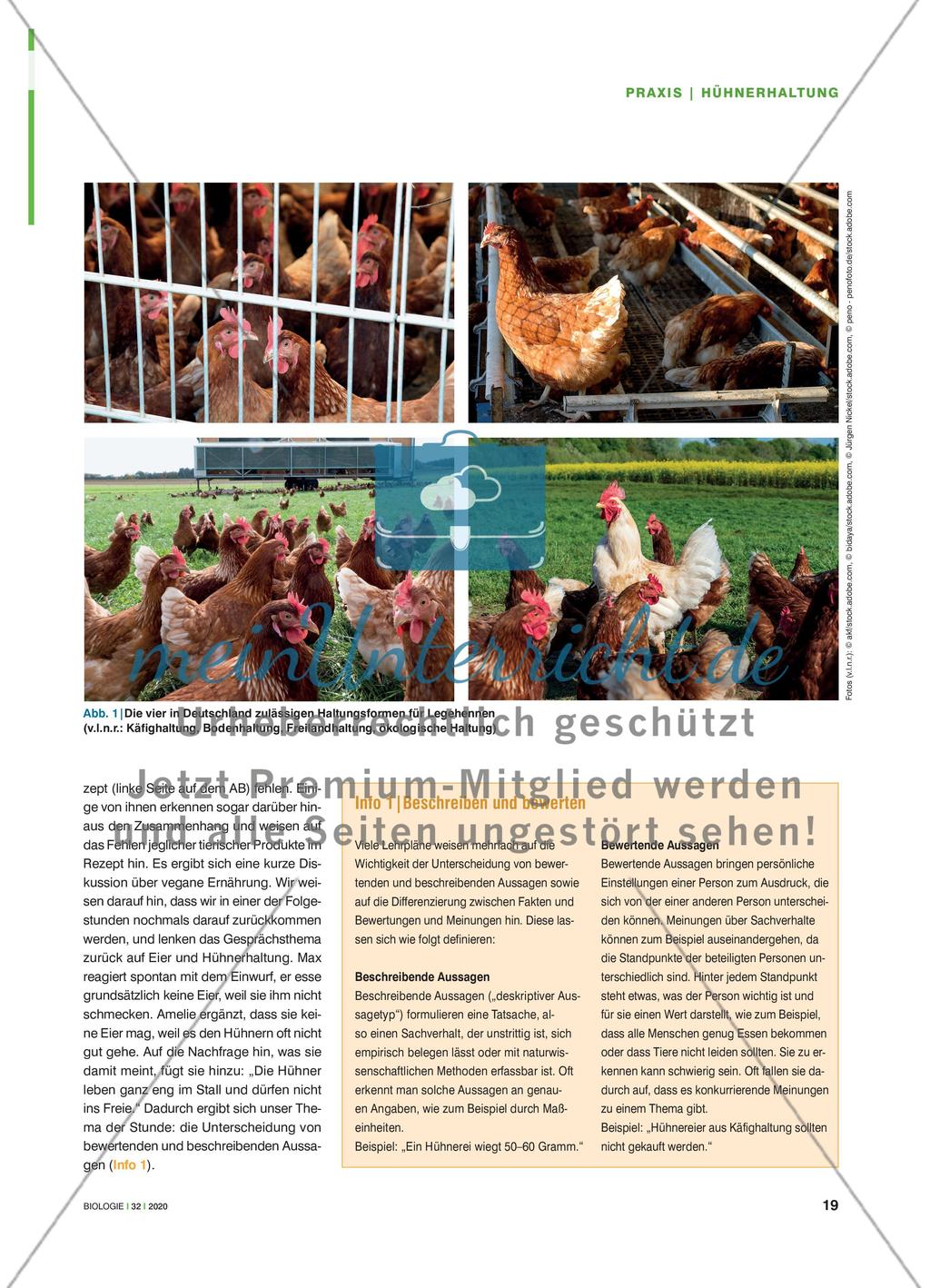 „Ich wollt, ich wär’ ein Huhn“? Preview 2