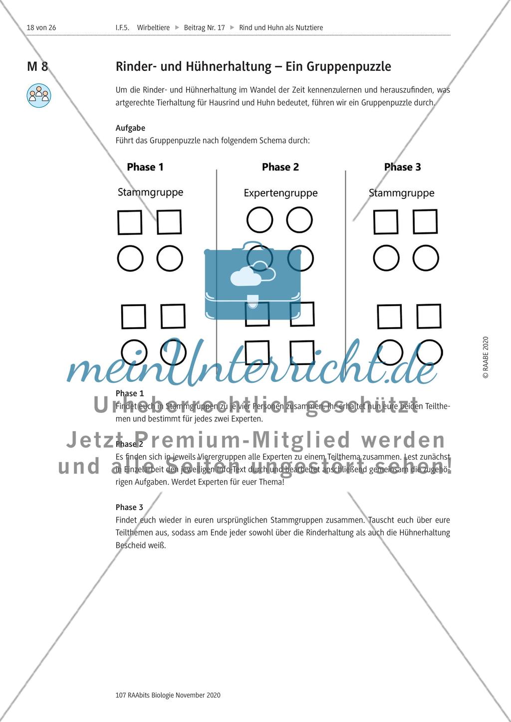 Rind und Huhn - M8-M11 Preview 1