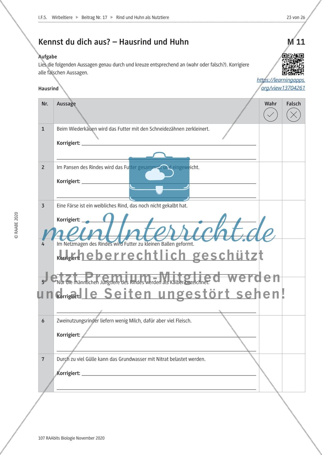 Rind und Huhn - M8-M11 Preview 6