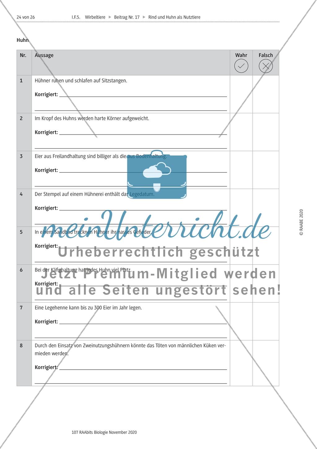 Rind und Huhn - M8-M11 Preview 7