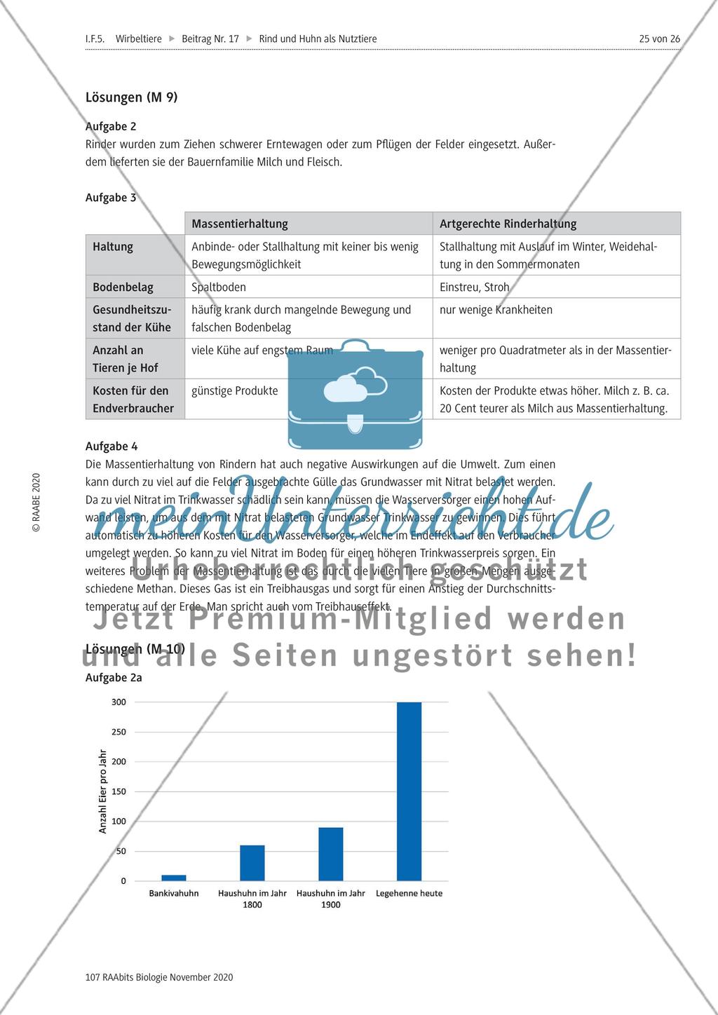 Rind und Huhn - M8-M11 Preview 8