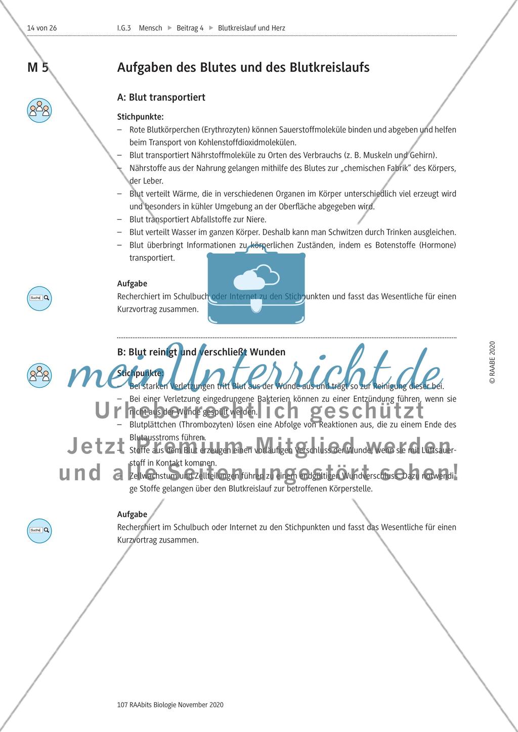 Selbstständige Gruppenarbeit zu verschiedenen Themen Preview 1