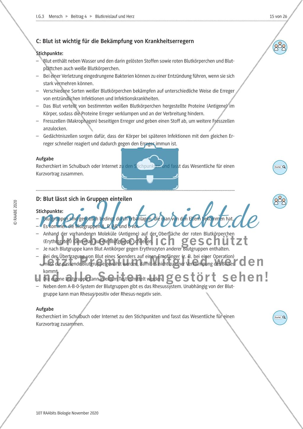 Selbstständige Gruppenarbeit zu verschiedenen Themen Preview 2