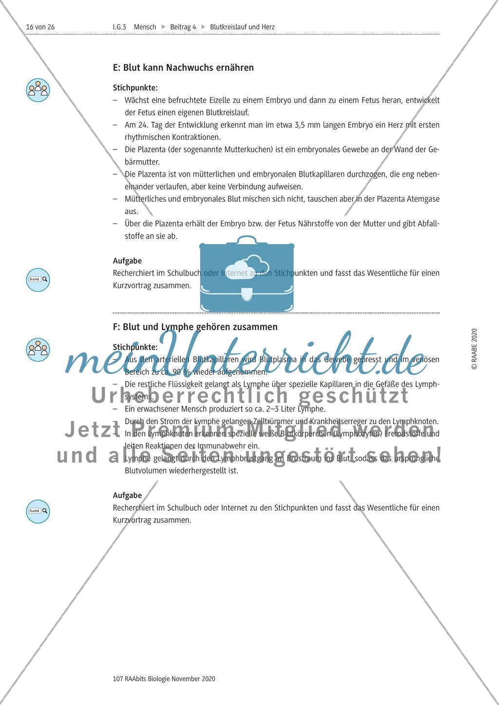 Selbstständige Gruppenarbeit zu verschiedenen Themen Preview 3