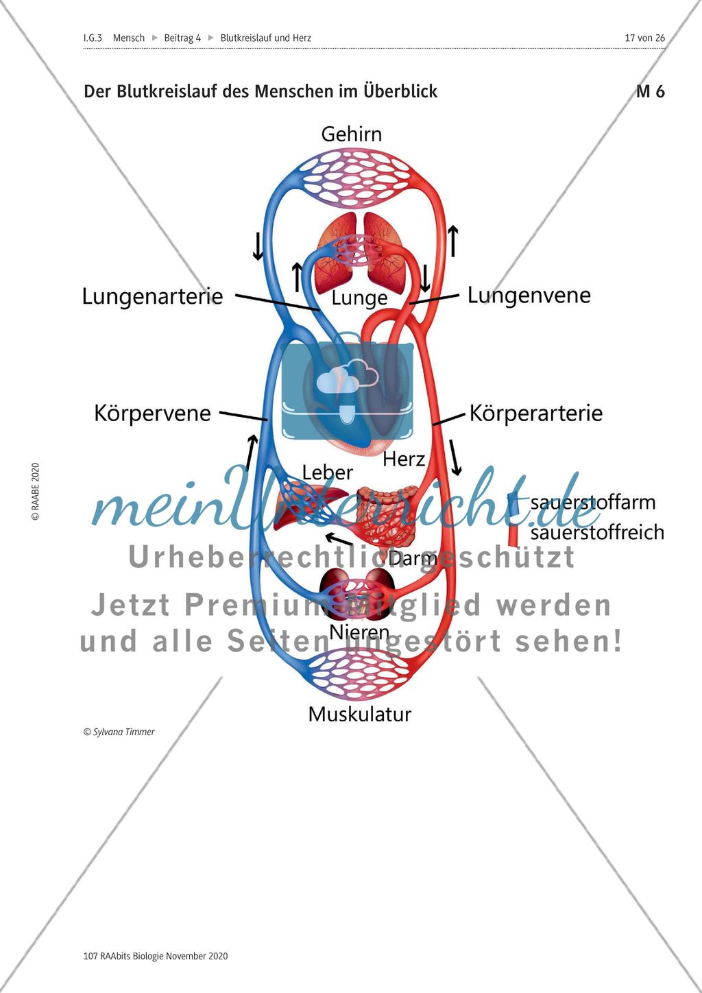 Selbstständige Gruppenarbeit zu verschiedenen Themen Preview 4