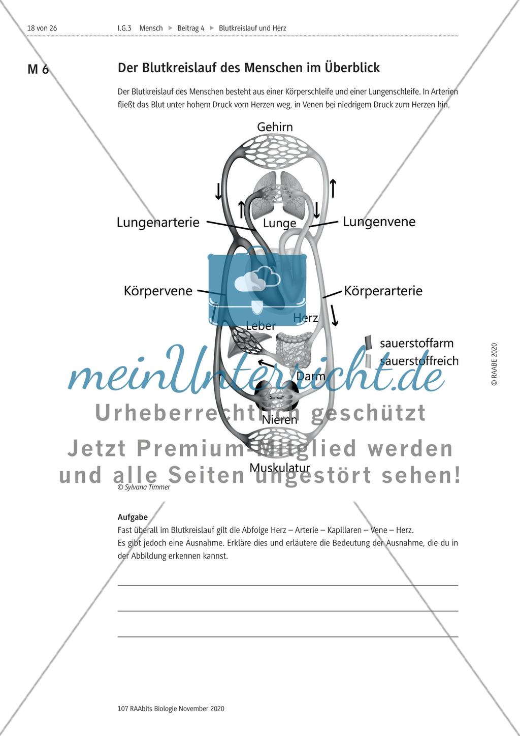Selbstständige Gruppenarbeit zu verschiedenen Themen Preview 5
