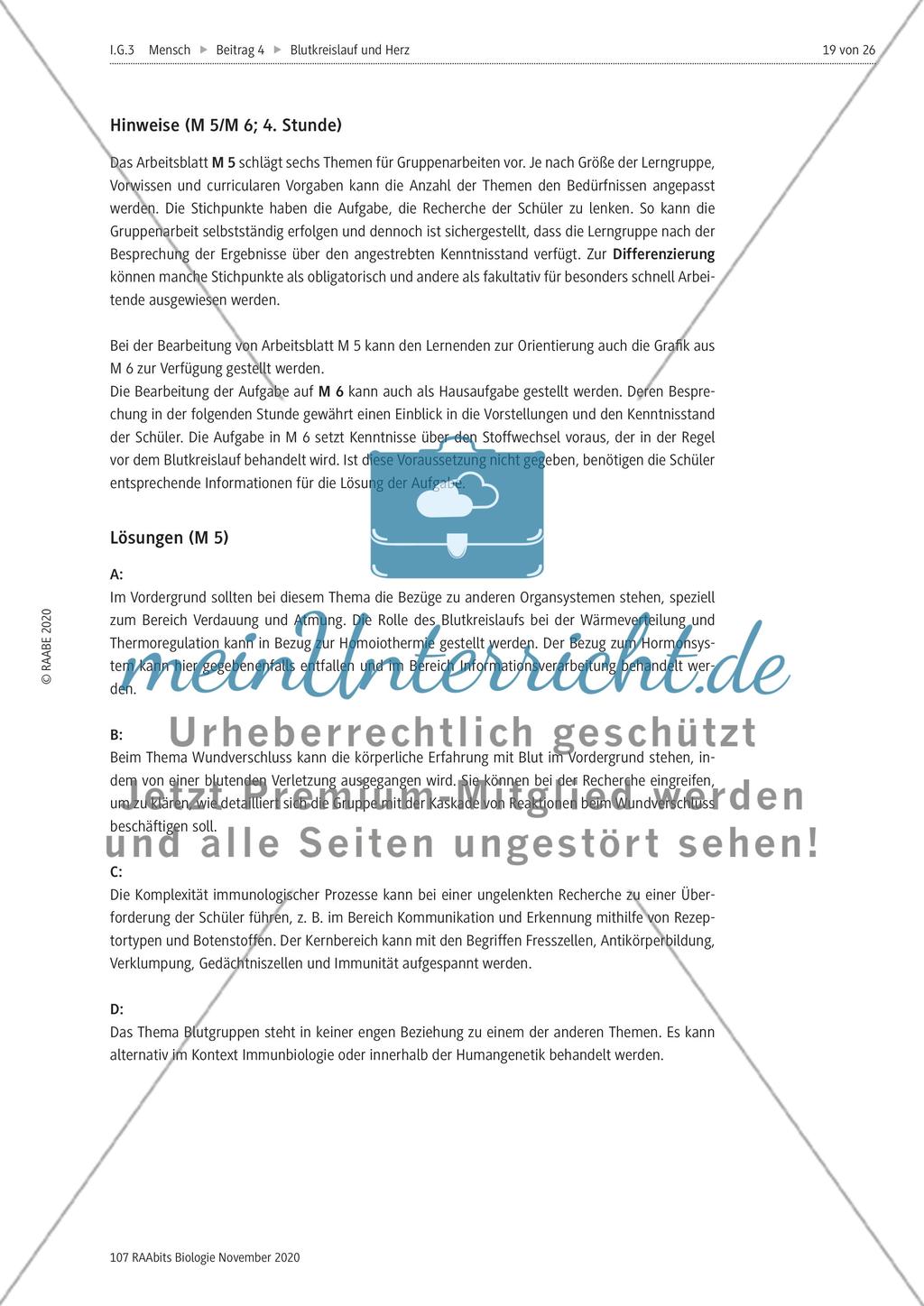 Selbstständige Gruppenarbeit zu verschiedenen Themen Preview 6