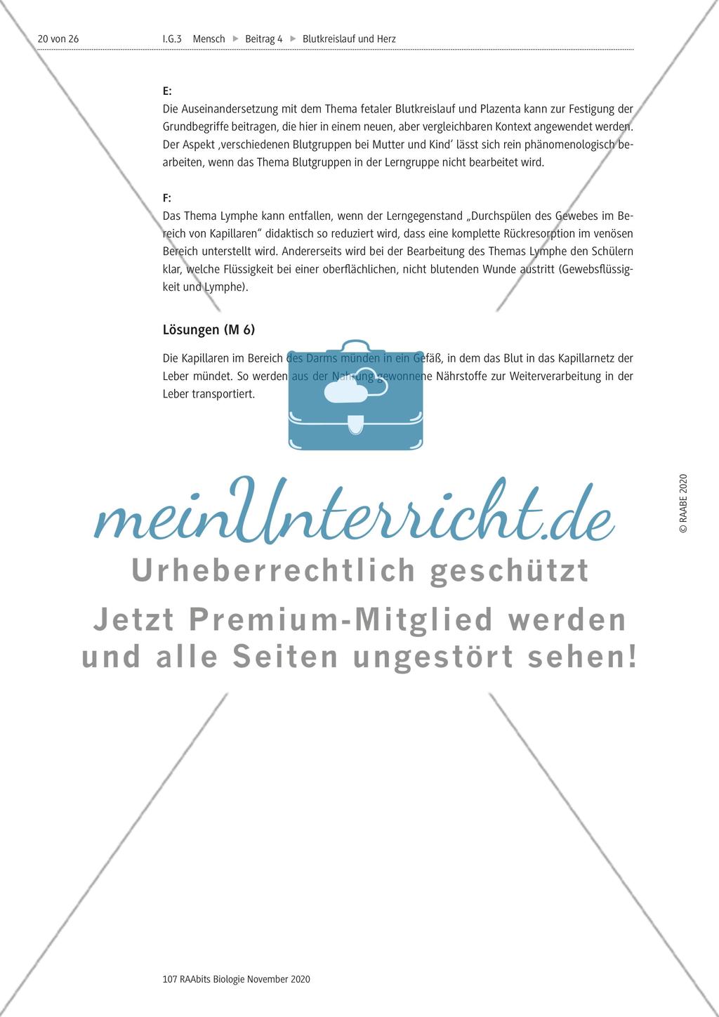 Selbstständige Gruppenarbeit zu verschiedenen Themen Preview 7
