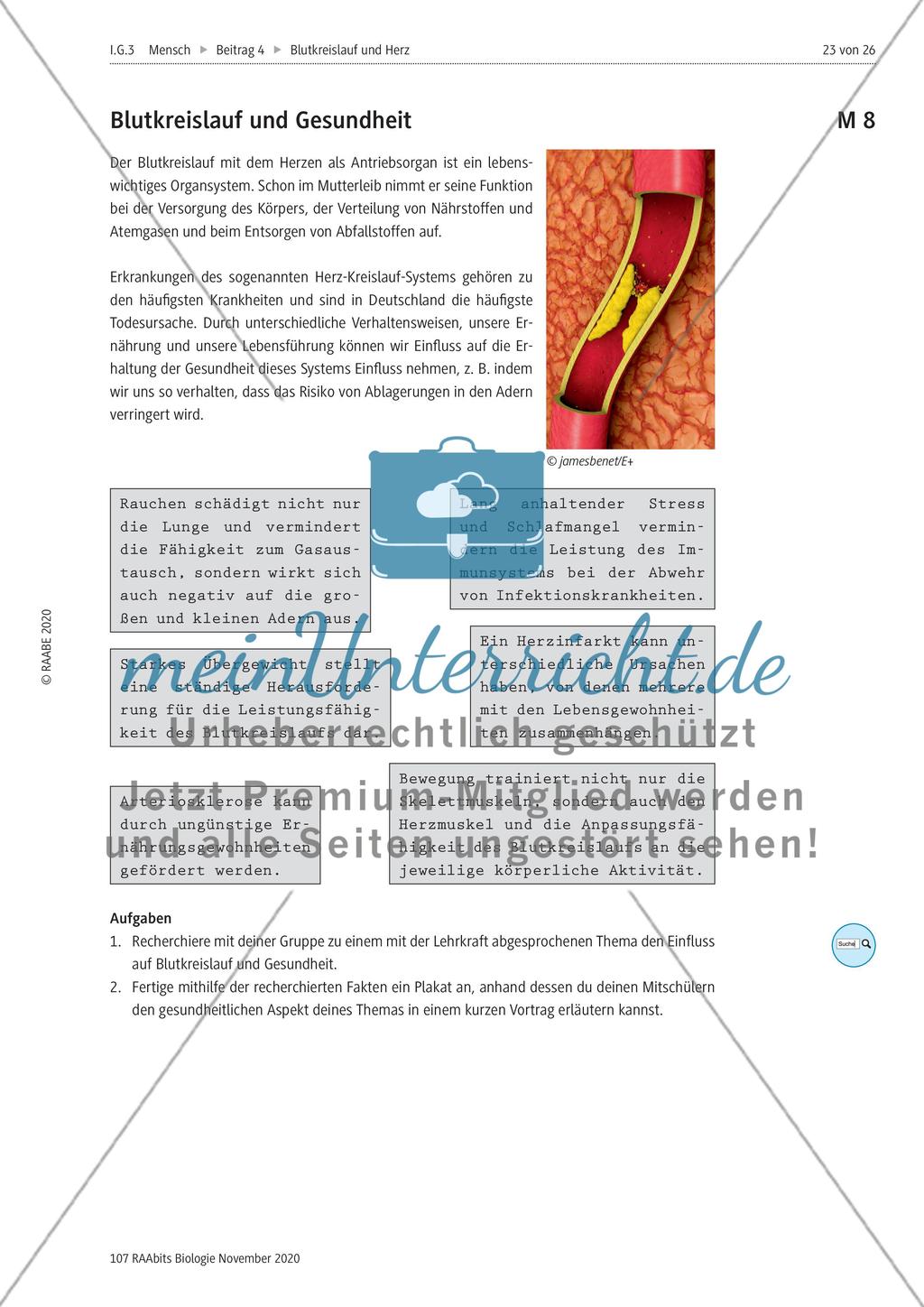 Einflüsse der Lebensführung auf die Gesundheit des Herz-Kreislauf-Systems / Untersuchung und Präparation eines Schweineherzens / Blutplasma durchspült das Gewebe Preview 1