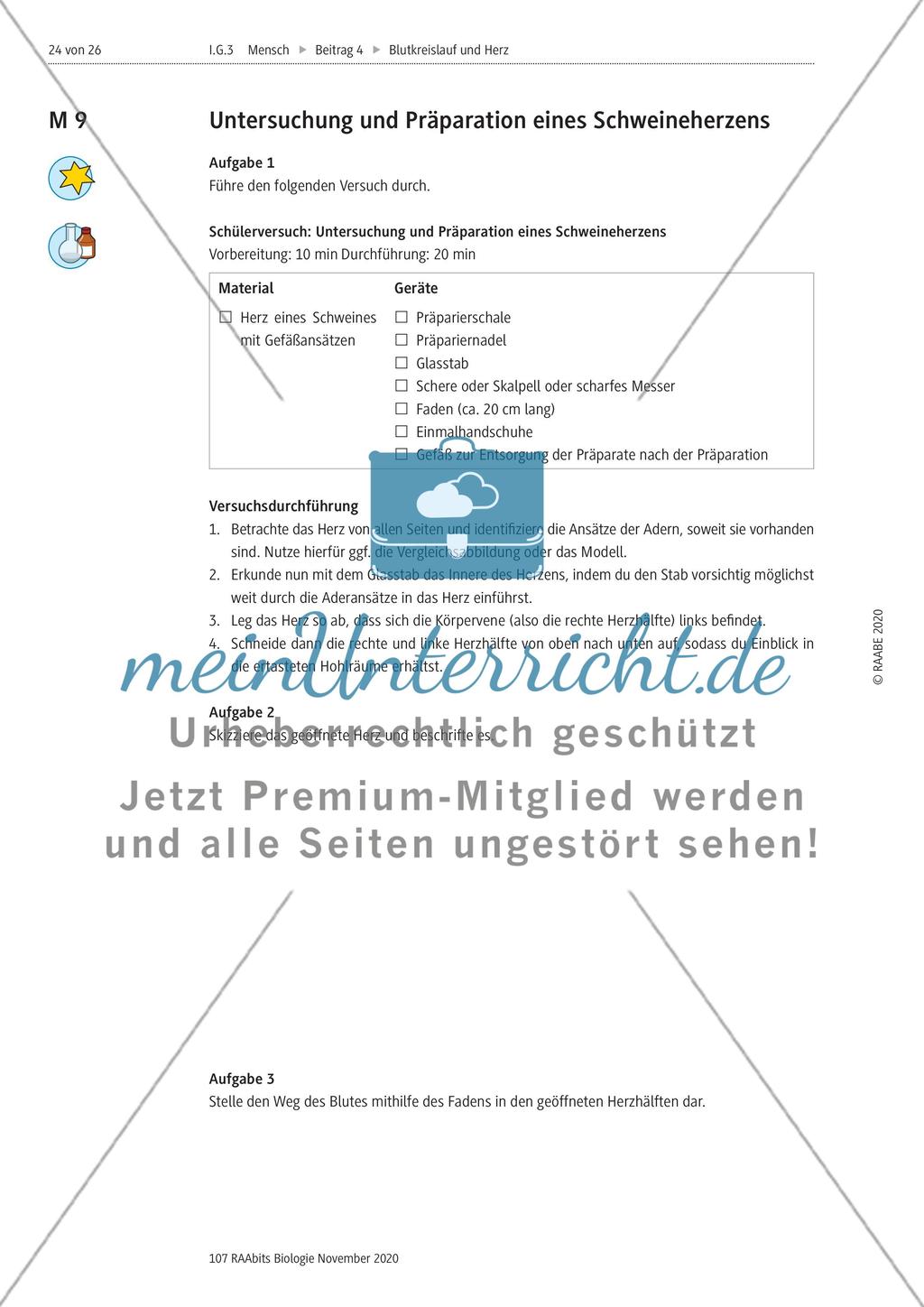 Einflüsse der Lebensführung auf die Gesundheit des Herz-Kreislauf-Systems / Untersuchung und Präparation eines Schweineherzens / Blutplasma durchspült das Gewebe Preview 2